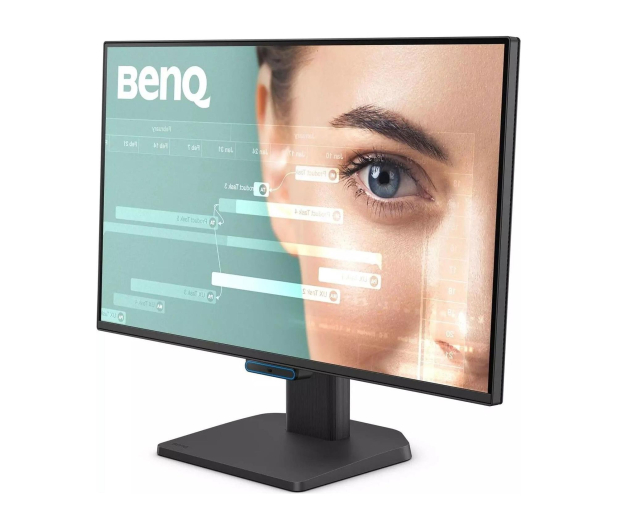 BenQ BL2490C - 1488034 - zdjęcie 2